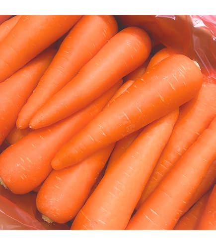Amazon.co.jp: 津堅島にんじん 5kg【予約販売】【4月中旬〜下旬より